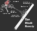 BlackBeautyLGDisplay-smnew.jpg