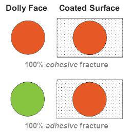 ata dolly face