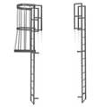 EGA Fixed Vertical And Cage Ladders